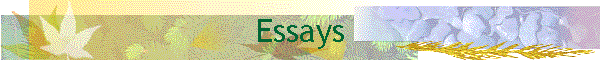 Essays