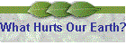 What Hurts Our Earth?
